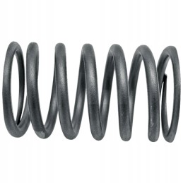 Valve spring Ursus C 360
