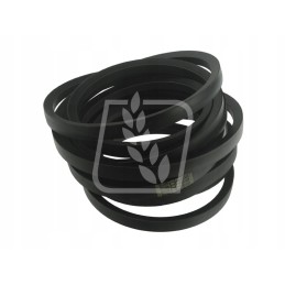 Belt 061253 22 x 8534l