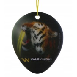 Landini MF Warynski brake disc