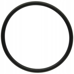 O-ring for the external swing arm 72706604 granite