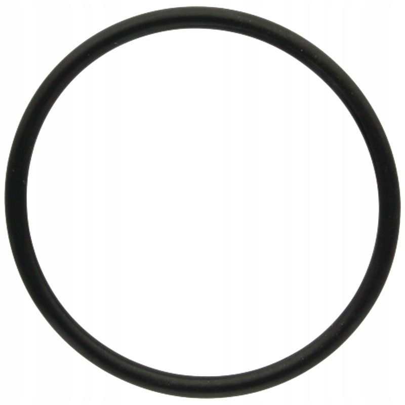 O-ring for the external swing arm 72706604 granite