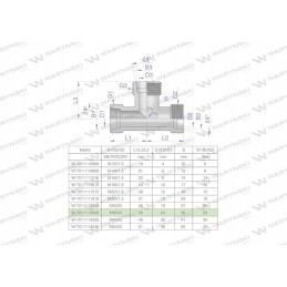 Metric hydraulic tee bbb m36x2 28l xt
