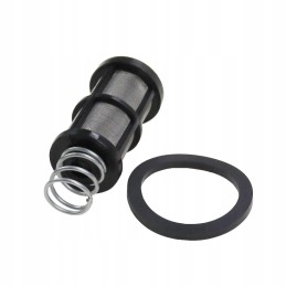 Sediment filter insert complete with spring