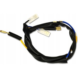 Harness with alternator and starter Ursus C330