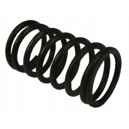 Inner valve spring 80005012 sold by