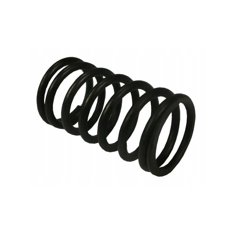 Inner valve spring 80005012 sold by