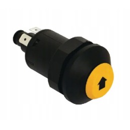 Lift control button switch 1964848c1