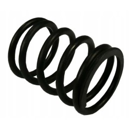 Outer valve spring 80005013 sold by