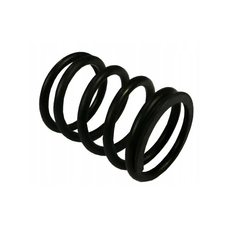 Outer valve spring 80005013 sold by