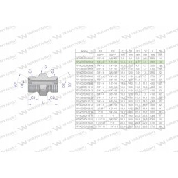 Hydraulic connector bb 1 8 x 1 4 BSP Warynski