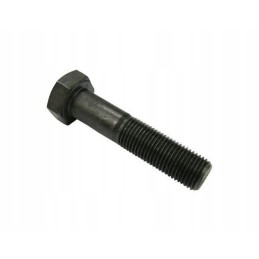 Screw 12x1 25x55 c 385