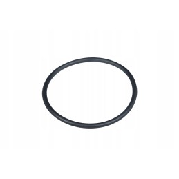 V614602415 injector seat seal