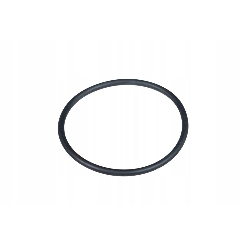 V614602415 injector seat seal