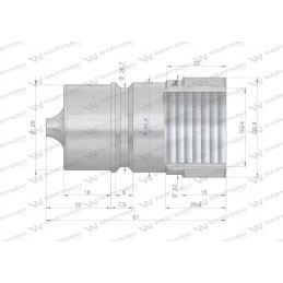 Hydraulic quick connector plug g3 4 bsp