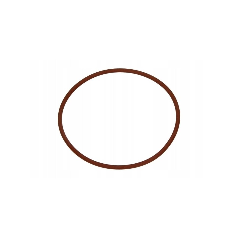 Fiat Ducato 06 water pump gasket