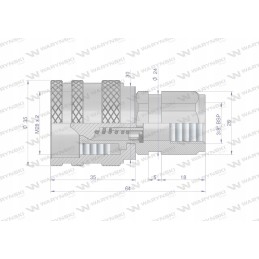 Hydraulic quick connector plug 3 8 thread Warynski