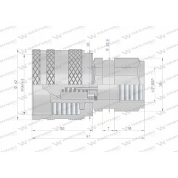 Hydraulic quick connector, G1 2 thread Warynski plug