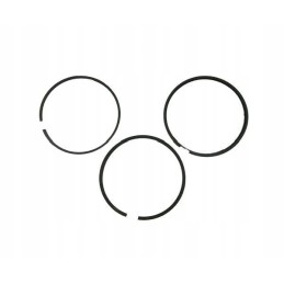 Set of engine piston rings 52110096 8900