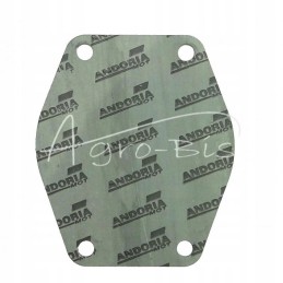 Water pump cylinder block gasket krazelite 0