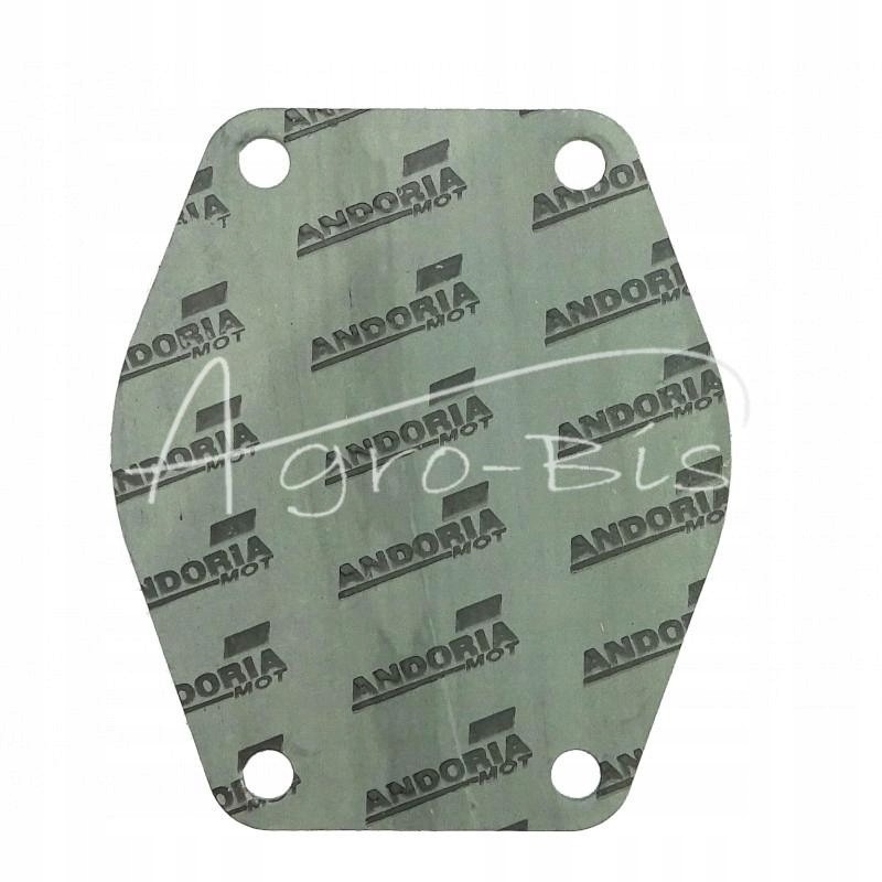 Water pump cylinder block gasket krazelite 0