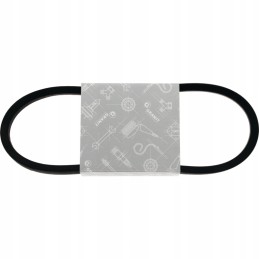 V-belt belt 17x800 mm b31 1 2 inch granite