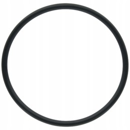 Seal ring for differential piston given