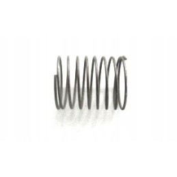 Pump valve spring t 25