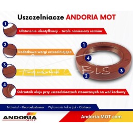 Crankshaft oil seal seal ring