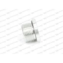 Hydraulic plug inch for Allen key 3 8 bsp