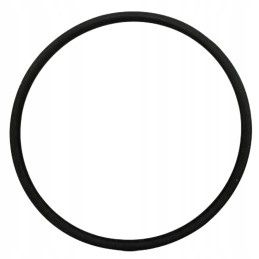 Sealing ring 02381571 granite