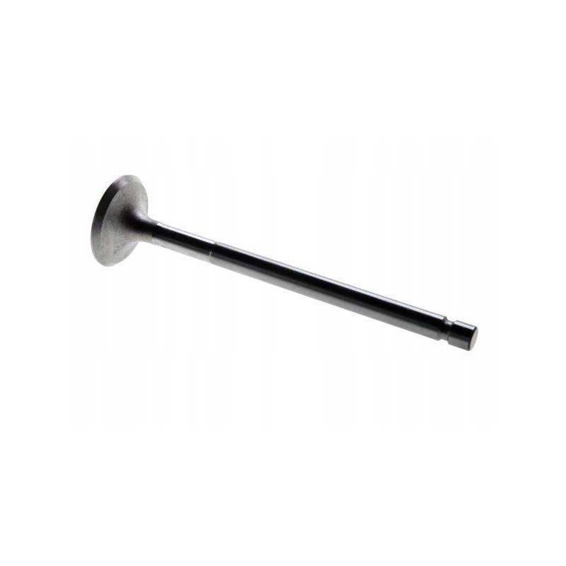 Exhaust valve c 330