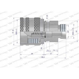 Hydraulic quick connector, plug M22x1 5 Warynski