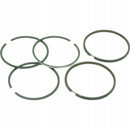 Set of rings 6892401004060a agtech