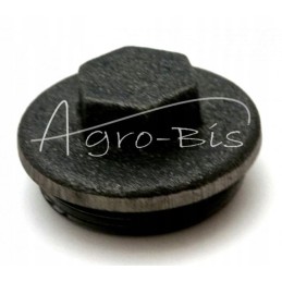 Polish gearbox cover cap