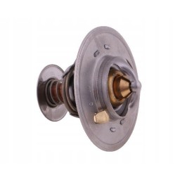 Thermostat 2856543 Steyr New Holland Case Polmo