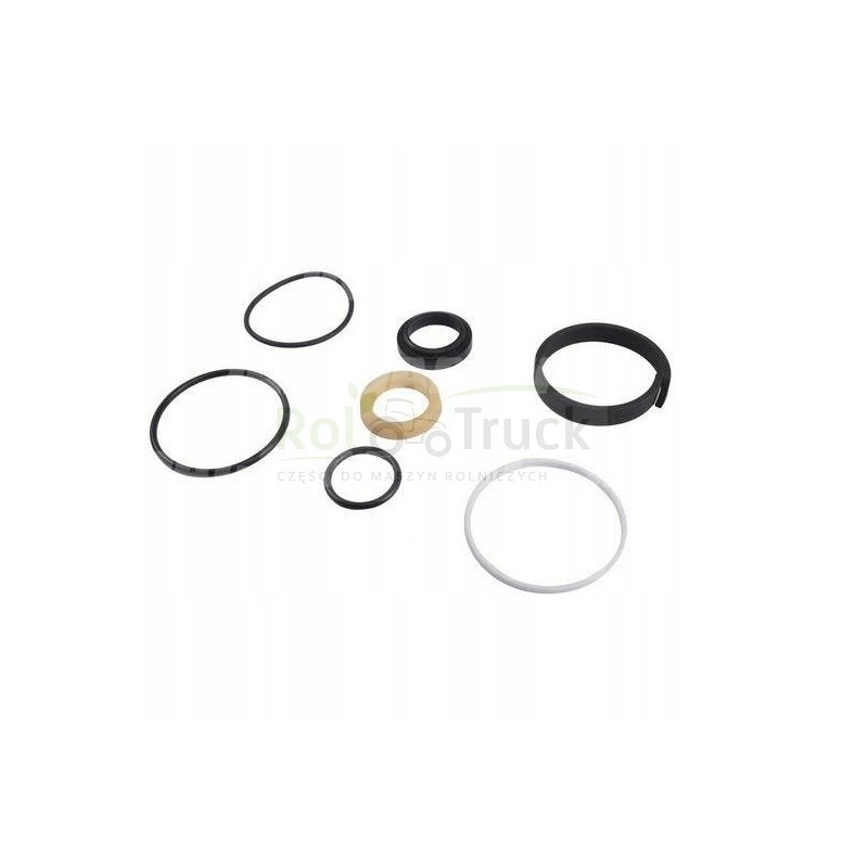 Massey Landini steering cylinder repair kit