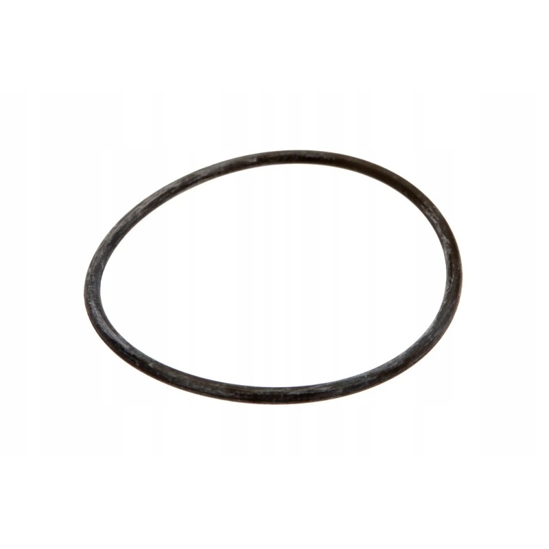 6005013183 crankshaft o-ring