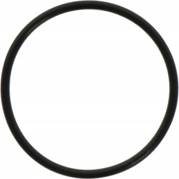 Differential piston O-ring 3019927x1