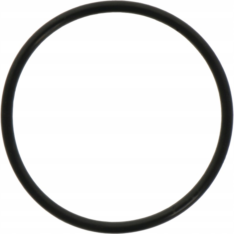 Differential piston O-ring 3019927x1