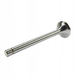 Zetor Andoria exhaust valve mot