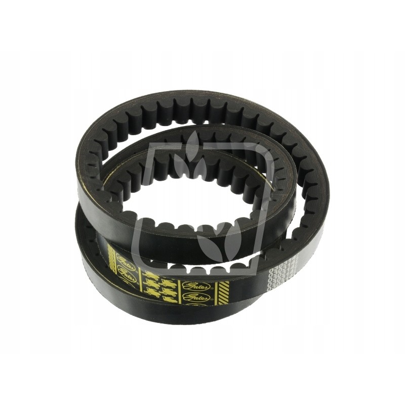 Toothed belt 0303147