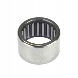 HK 2520 motogeneric bearing
