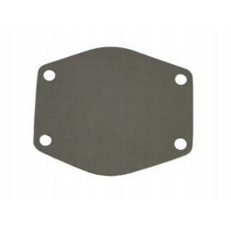 Water pump solid gasket mf 3 0941183