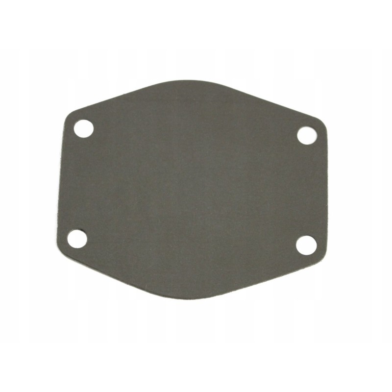 Water pump solid gasket mf 3 0941183