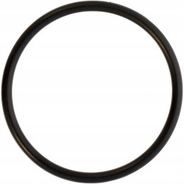 Fendt Vario hydraulic filter oring f339860060040