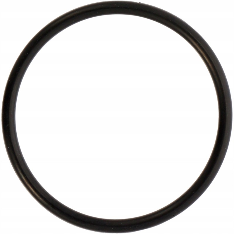 Fendt Vario hydraulic filter oring f339860060040