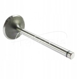 Suction valve C 385 Andoria mot, packed in 4 pcs