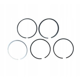 Set of engine piston rings nominal Q105