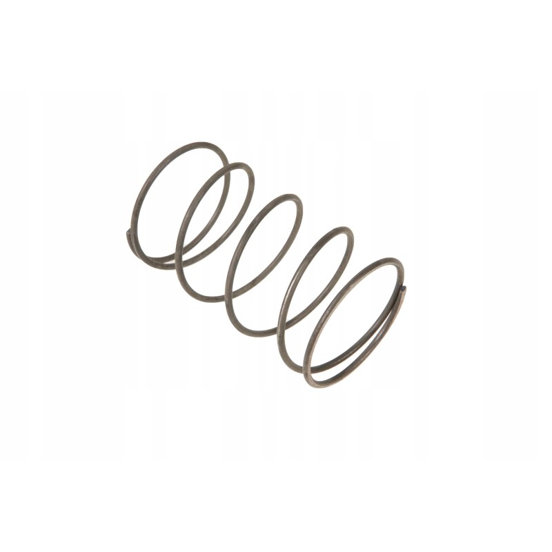 385301020230 spring fight