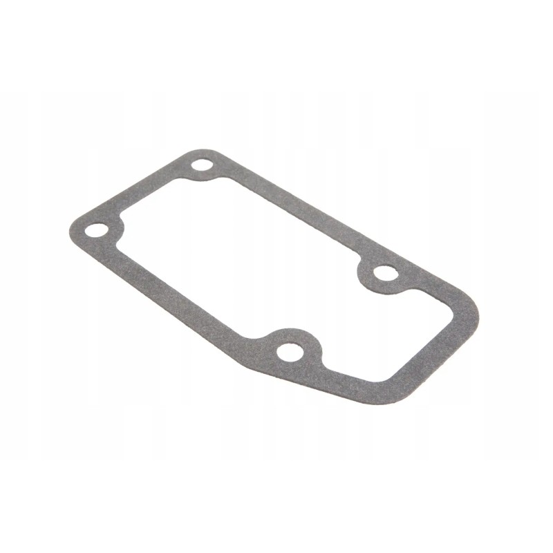 Cw10900 thermostat housing gasket